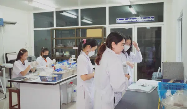 detox-corporate-news-a-24-4