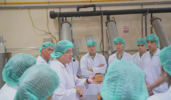 detox-corporate-news-a-25-3